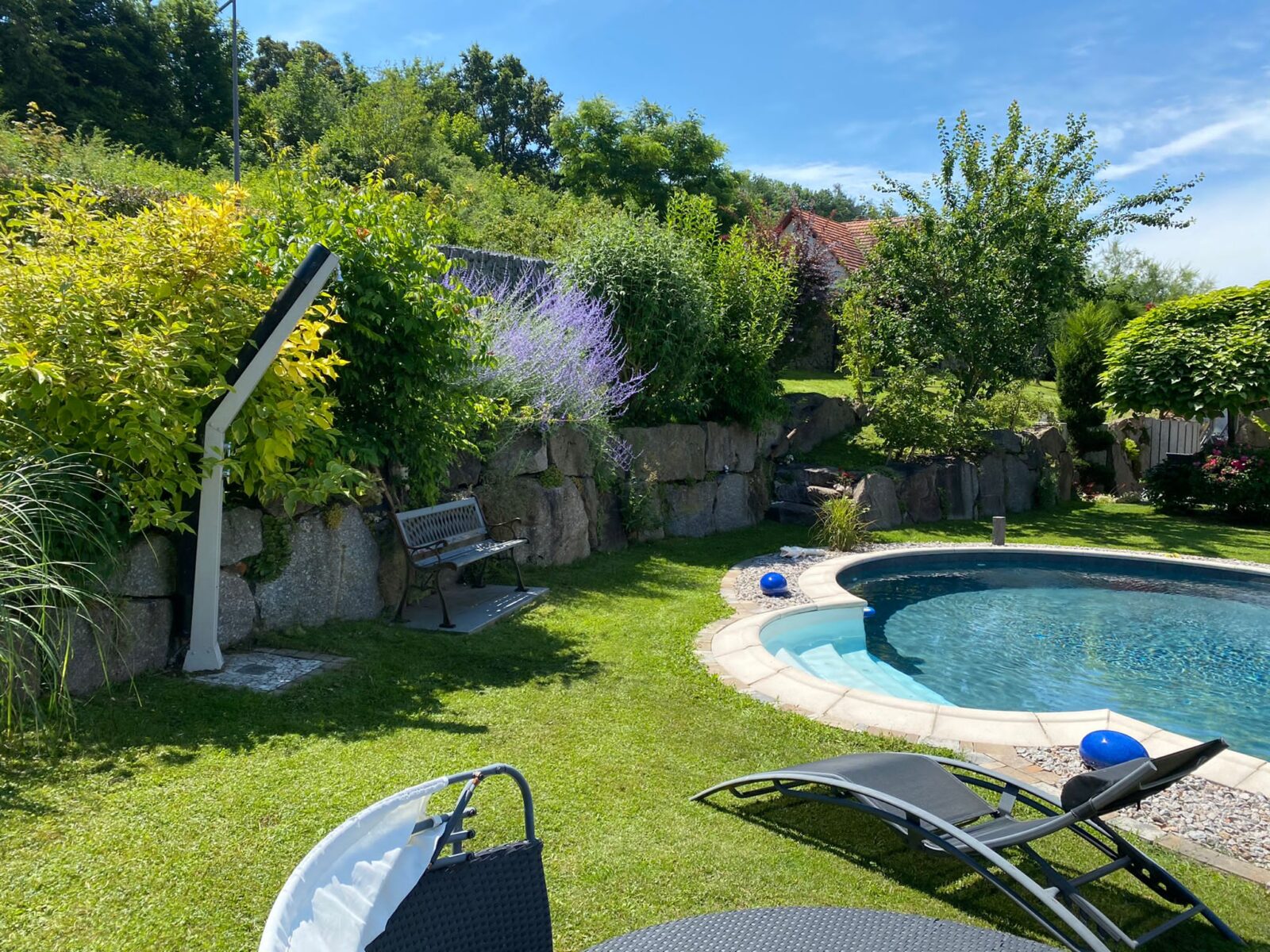 Jardin et piscine aménagés Jardin et piscine aménagés